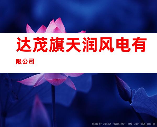 达茂旗天润风电有限公司